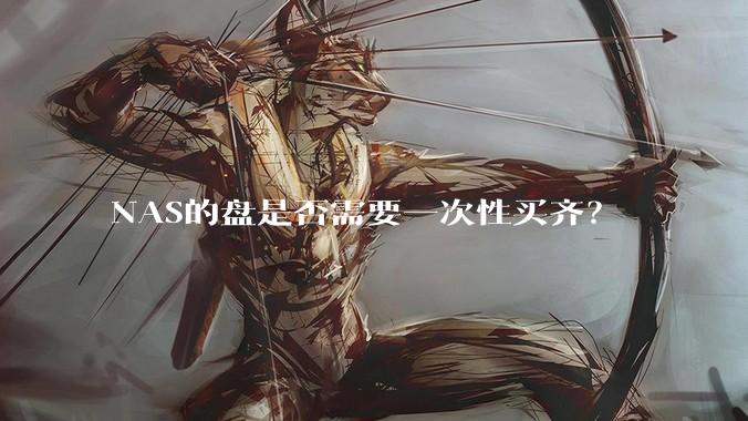 NAS的盘是否需要一次性买齐？