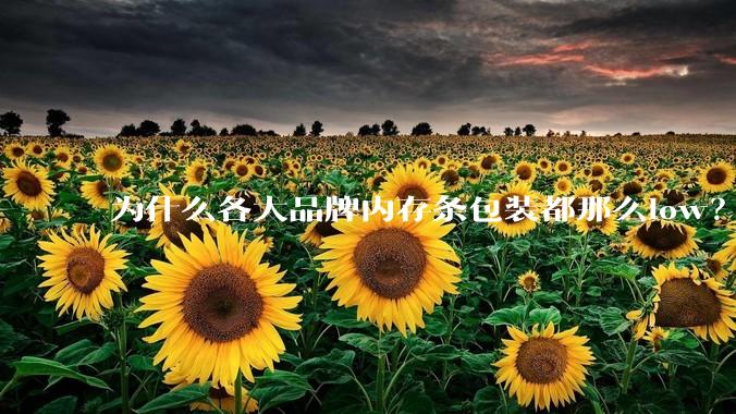 为什么各大品牌内存条包装都那么low？