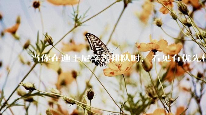 当你在迪士尼辛苦排队时，看见有优先权的人去游玩，你是什么感觉呢？